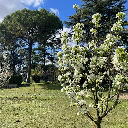 Giacinti Vila *