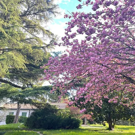 Vila Giacinti Padova