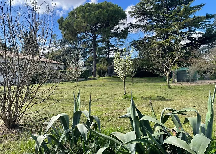 Giacinti פאדובה