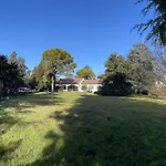 Giacinti Villa Padova