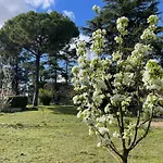 Giacinti Villa *