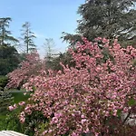 Giacinti Padova