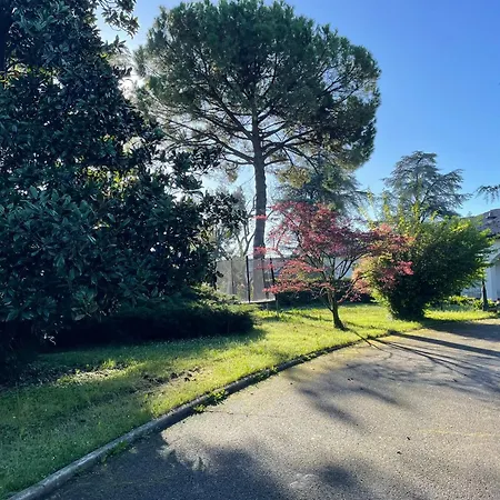 فيلة Giacinti بادوفا