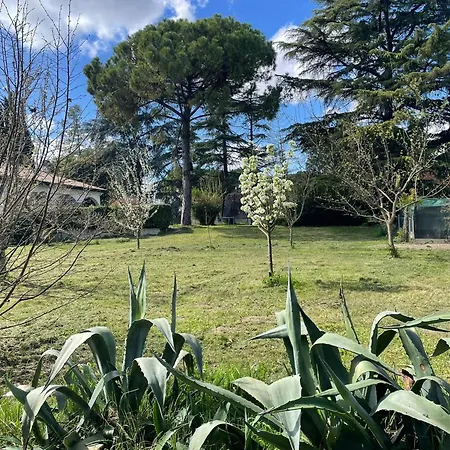 Giacinti بادوفا