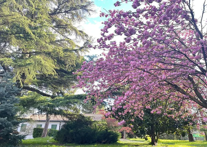 Villa Giacinti *