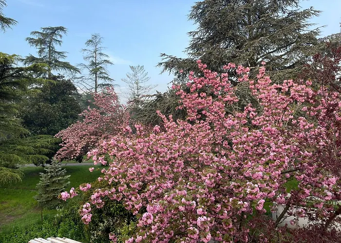 Villa Giacinti Padoue